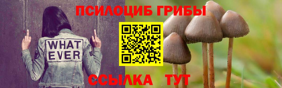 Галлюциногенные грибы Psilocybe  Вход с VPN  Узловая  Галлюциногенные грибы GOLDEN TEACHER 